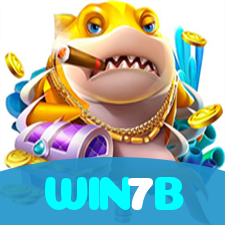 WIN7B visual