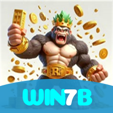 WIN7B visual
