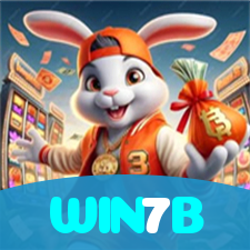 WIN7B visual
