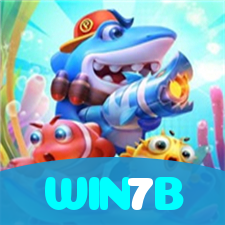WIN7B visual