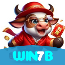 WIN7B visual