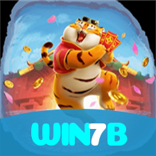 WIN7B visual