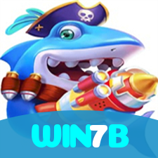 WIN7B visual