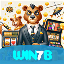 WIN7B visual