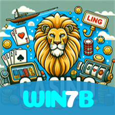 WIN7B visual