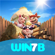 WIN7B visual