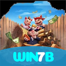WIN7B visual