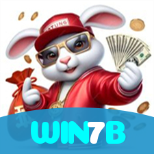 WIN7B visual