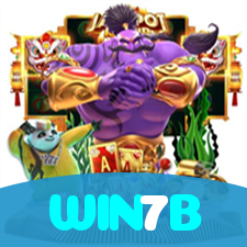 WIN7B visual