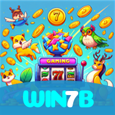 WIN7B visual