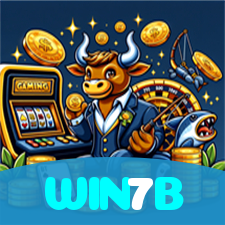 WIN7B visual