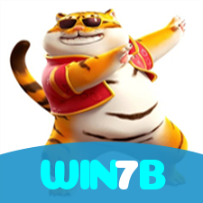 WIN7B visual