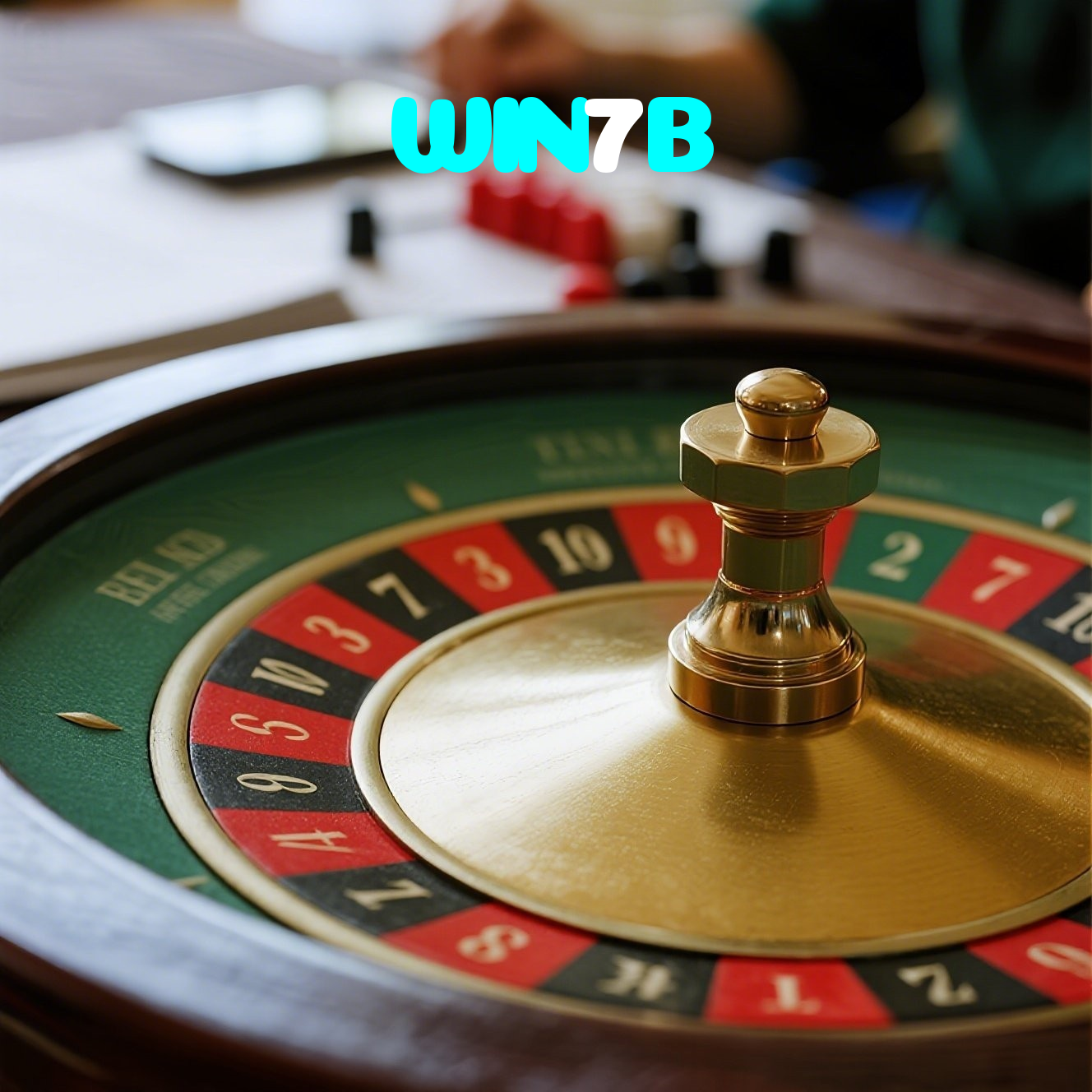 WIN7B visual
