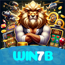 WIN7B visual